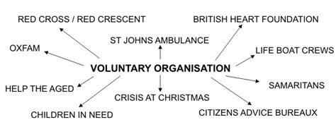 volunteer organisations|types of voluntary organisations.